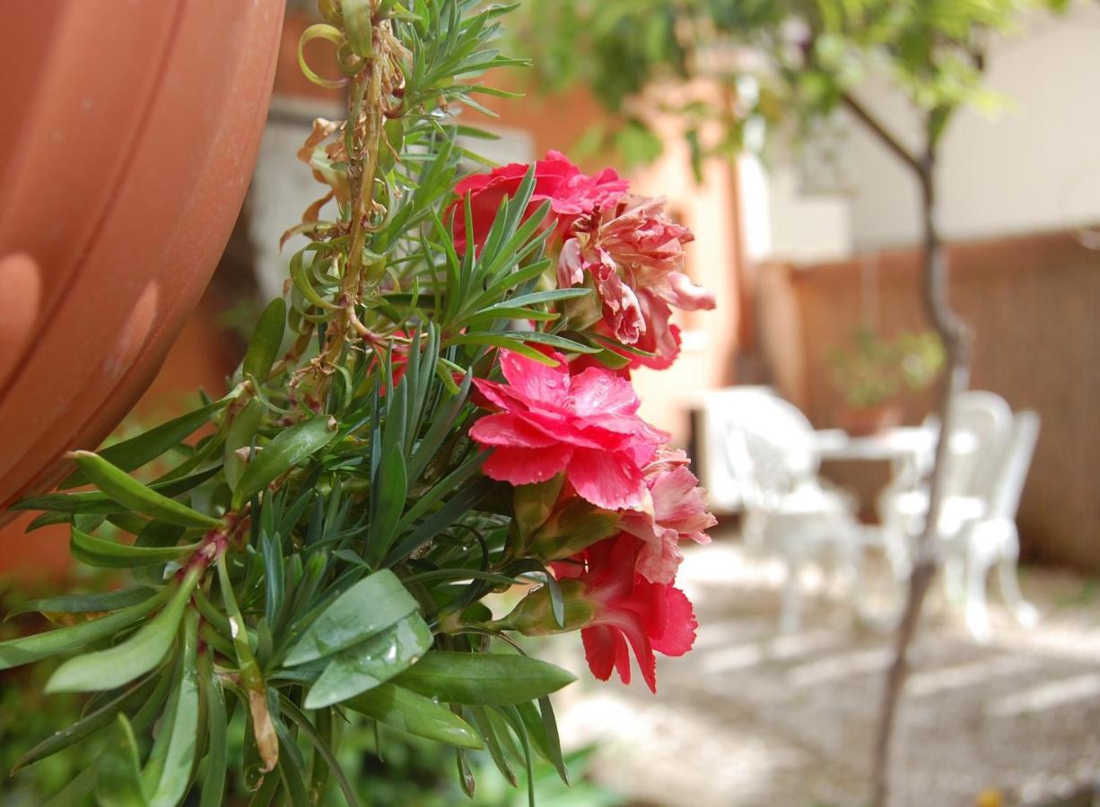 Casa Satta 1925 Hotel Olbia Buitenkant foto